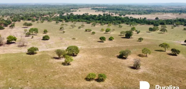 Fazenda / Sítio / Chácara à venda, 953m² no Setor Central, Divinópolis do Tocantins