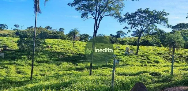 Fazenda / Sítio / Chácara à venda, 10648000m² no , Padre Bernardo