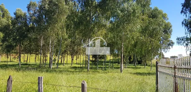 Loja / Salão / Ponto Comercial à venda, 26000m² no Universitário, Sete Lagoas
