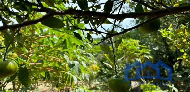 Fazenda / Sítio / Chácara com 3 Quartos à venda, 1000m² no , Mairinque