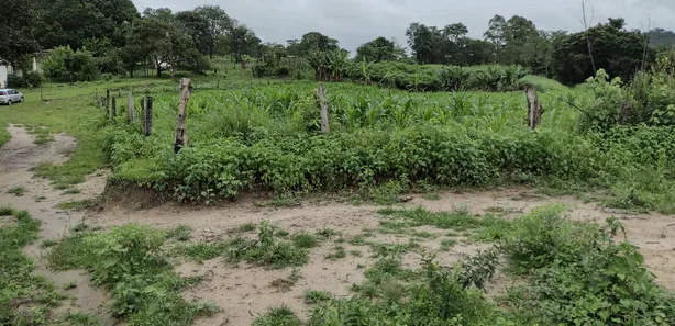 Terreno / Lote / Condomínio à venda, 20000m² no , Fortuna de Minas
