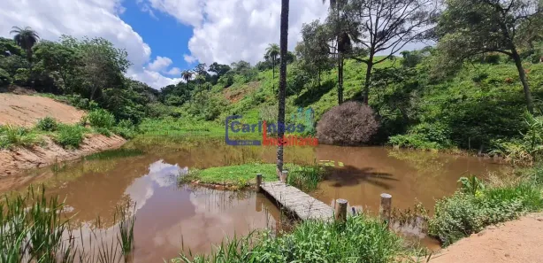 Terreno / Lote / Condomínio à venda, 20000m² no , Florestal