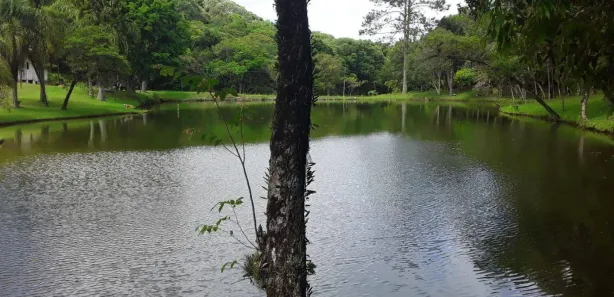 Fazenda / Sítio / Chácara à venda, 48800m² no Rondinha, Campo Largo