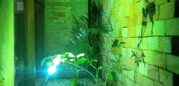 Casa com 2 Quartos à venda, 200m² no Quintas do Amanhecer II, Brasília