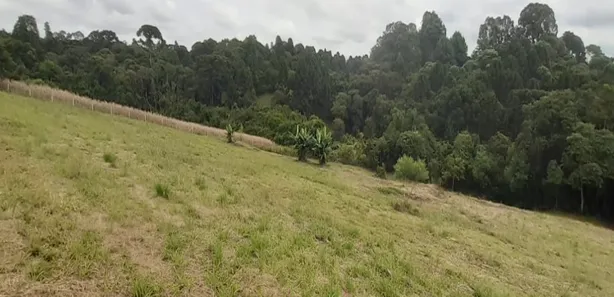 Fazenda / Sítio / Chácara com 2 Quartos à venda, 20000m² no Centro, Araucária