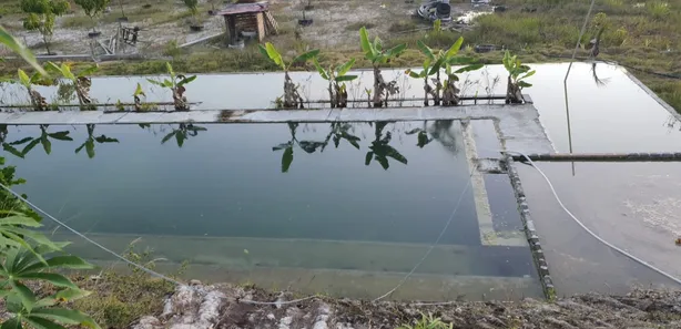 Fazenda / Sítio / Chácara com 2 Quartos à venda, 340m² no Centro, Camaçari