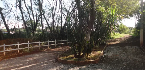 Fazenda / Sítio / Chácara com 2 Quartos à venda, 10000m² no Centro, Ibiporã