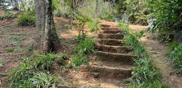 Fazenda / Sítio / Chácara com 4 Quartos à venda, 4200m² no , Mairinque