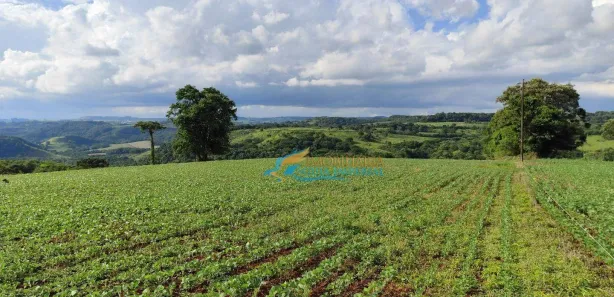 Fazenda / Sítio / Chácara à venda, 72600m² no , Catanduvas