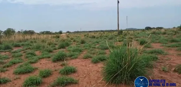 Terreno / Lote / Condomínio à venda, 192m² no Setor Central, Ponte Alta do Tocantins
