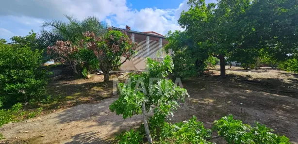 Fazenda / Sítio / Chácara com 3 Quartos à venda, 416m² no Ebenezer, Gravatá