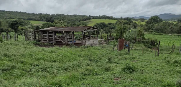 Terreno / Lote / Condomínio à venda, 20000m² no , Fortuna de Minas