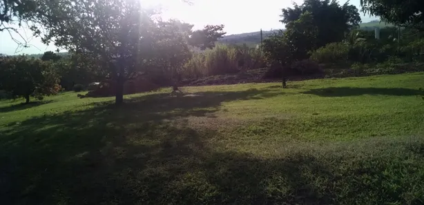 Fazenda / Sítio / Chácara com 5 Quartos à venda, 500m² no Buru, Salto