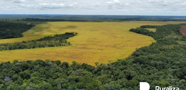 Fazenda / Sítio / Chácara à venda, 2731m² no , Santa Maria do Tocantins
