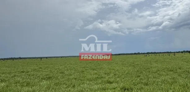 Fazenda / Sítio / Chácara à venda, 500m² no , Formoso do Araguaia