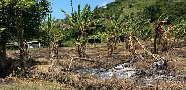 Terreno / Lote / Condomínio à venda, 3250m² no Sampaio Correia (Sampaio Correia), Saquarema