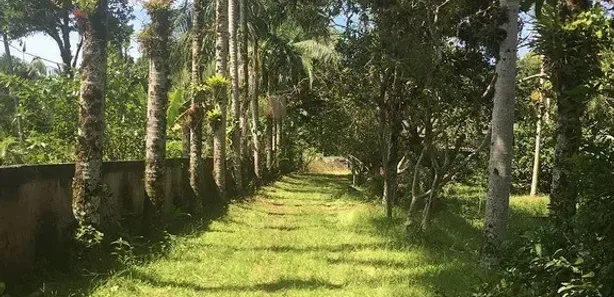 Fazenda / Sítio / Chácara com 2 Quartos à venda, 6830m² no Shangri-lá, Pontal do Paraná