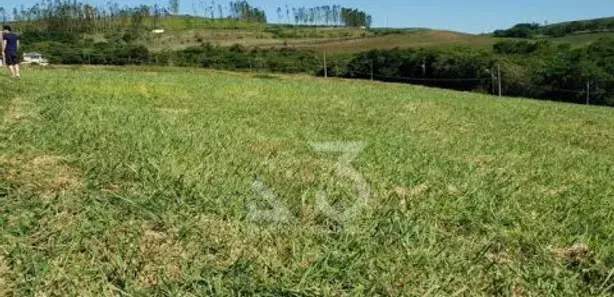 Terreno / Lote / Condomínio à venda, 1500m² no Rodovia, Sertanópolis