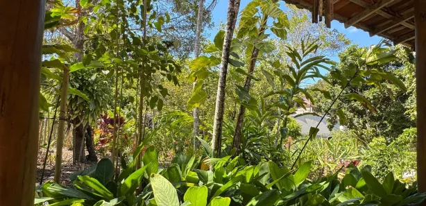 Casa com 1 Quarto à venda, 516m² no Trancoso, Porto Seguro