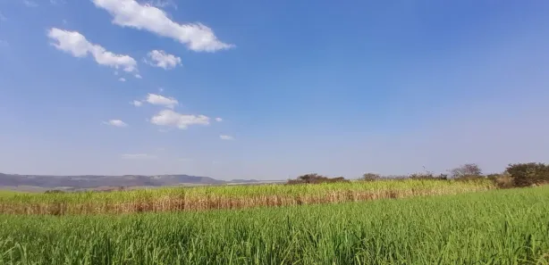 Terreno / Lote / Condomínio à venda, 5000m² no , Cravinhos