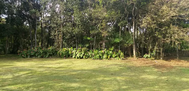 Terreno / Lote / Condomínio à venda, 1783m² no Vila da Gloria, São Francisco do Sul