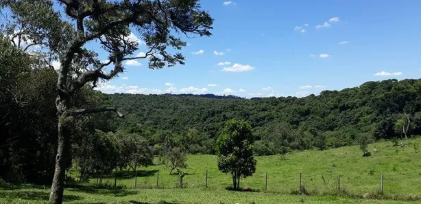 Fazenda / Sítio / Chácara à venda, 133100m² no , Vargem Grande Paulista