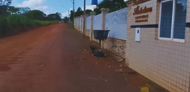 Terreno / Lote / Condomínio à venda, 950m² no Cidade Nova, Brasília