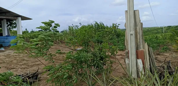 Fazenda / Sítio / Chácara à venda, 65000m² no Centro, Pilar