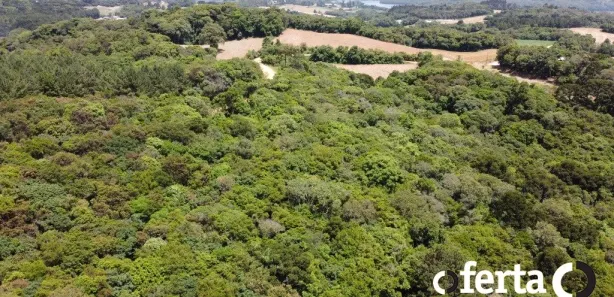 Fazenda / Sítio / Chácara à venda, 23475m² no Porto das Laranjeiras, Araucária