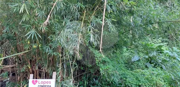 Terreno / Lote / Condomínio à venda, 487m² no Toque-Toque Grande, São Sebastião