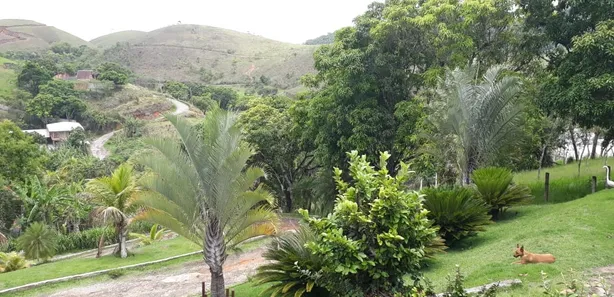 Fazenda / Sítio / Chácara com 1 Quarto à venda, 50m² no Moinho de Vento, Barra Mansa