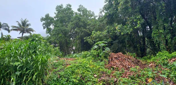Terreno / Lote / Condomínio à venda, 2340m² no Camburi, São Sebastião