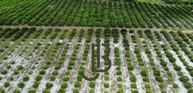 Fazenda / Sítio / Chácara com 2 Quartos à venda, 100m² no Centro, Alhandra