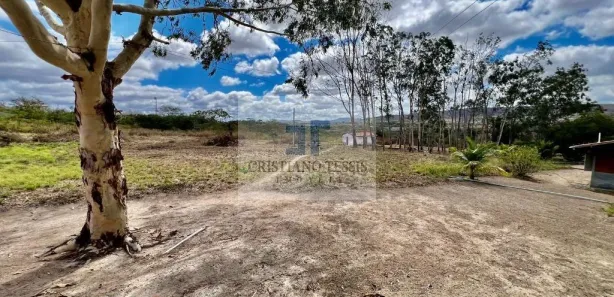 Fazenda / Sítio / Chácara com 6 Quartos à venda, 296000m² no Centro, Gravatá