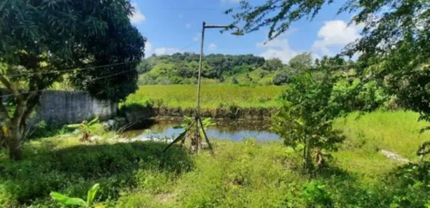 Fazenda / Sítio / Chácara com 2 Quartos à venda, 340m² no , Conde