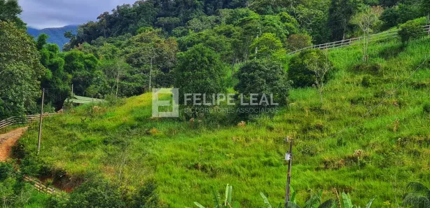 Fazenda / Sítio / Chácara à venda, 8000m² no , Águas Mornas