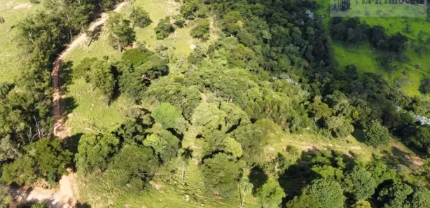 Fazenda / Sítio / Chácara com 5 Quartos à venda, 1360000m² no , São Joaquim de Bicas
