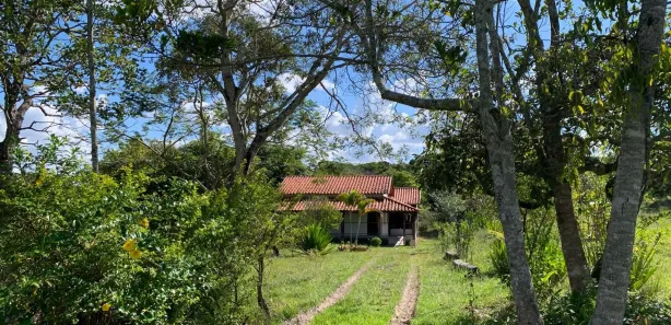 Fazenda / Sítio / Chácara com 3 Quartos à venda, 22000m² no , Santa Luzia