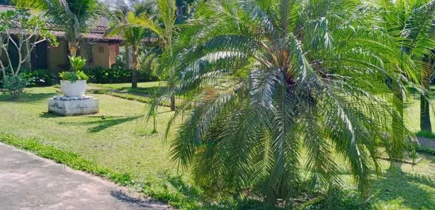 Fazenda / Sítio / Chácara com 3 Quartos à venda, 10000m² no Parque Nossa Senhora da Ajuda, Guapimirim