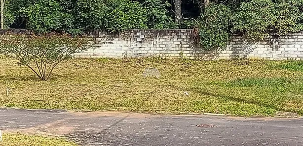 Terreno / Lote / Condomínio à venda, 168m² no Gralha Azul, Fazenda Rio Grande