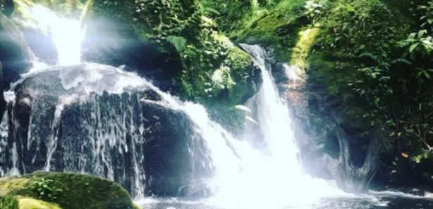 Fazenda / Sítio / Chácara com 4 Quartos à venda, 50000m² no Visconde de Mauá, Resende