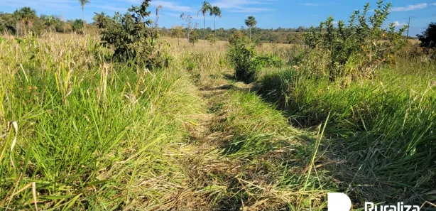 Fazenda / Sítio / Chácara à venda, 1911m² no , Guaraí