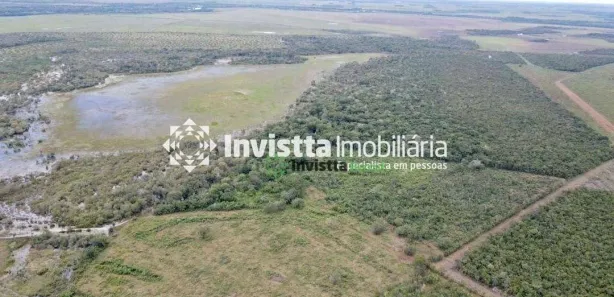 Fazenda / Sítio / Chácara à venda, 440m² no Centro, Lagoa da Confusão