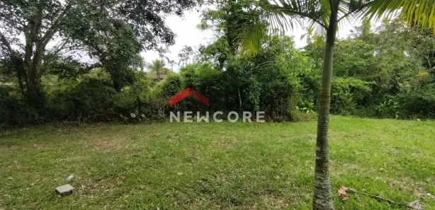 Fazenda / Sítio / Chácara com 1 Quarto à venda, 5000m² no Aguapeú, Itanhaém