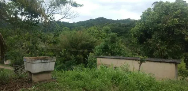 Fazenda / Sítio / Chácara à venda, 11000m² no Sampaio Correia (Sampaio Correia), Saquarema