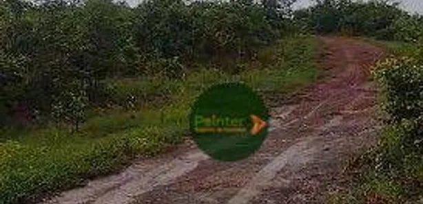 Fazenda / Sítio / Chácara à venda, 13176900m² no , Paranã