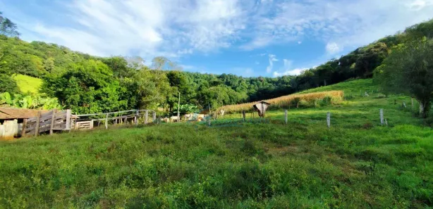 Fazenda / Sítio / Chácara com 2 Quartos à venda, 242000m² no , Catanduvas