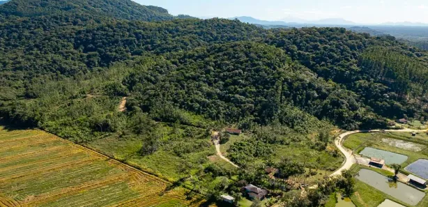 Fazenda / Sítio / Chácara com 3 Quartos à venda, 140m² no Sai, São Francisco do Sul