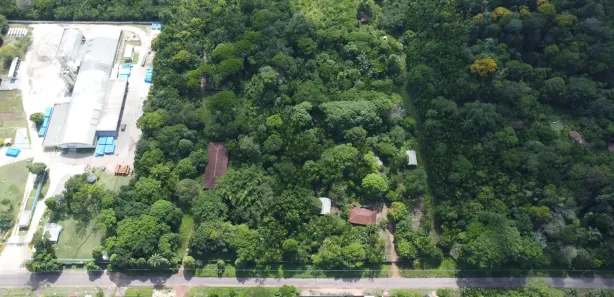 Terreno / Lote / Condomínio à venda, 20000m² no Benevides, Benevides