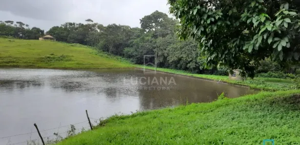 Fazenda / Sítio / Chácara com 4 Quartos à venda, 140000m² no Alpes Suiços, Gravatá